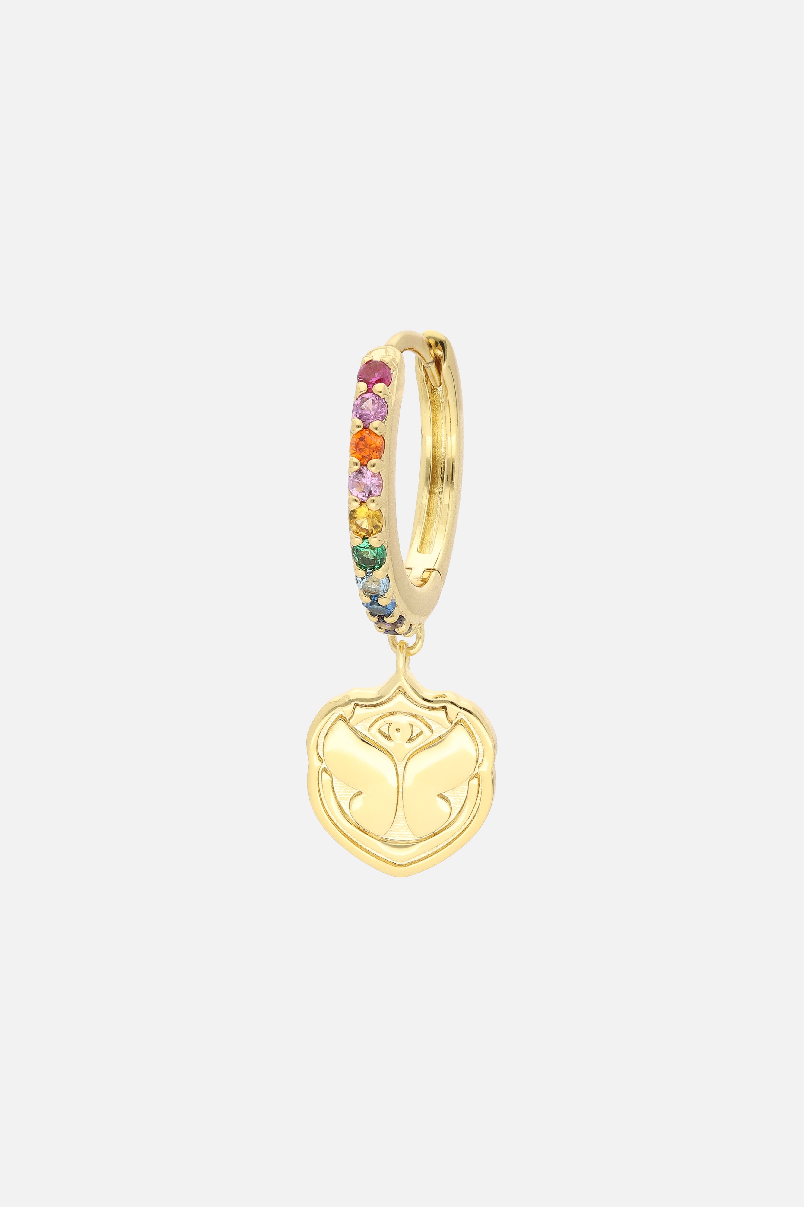 ICON RAINBOW HOOP EARRINGS - 2